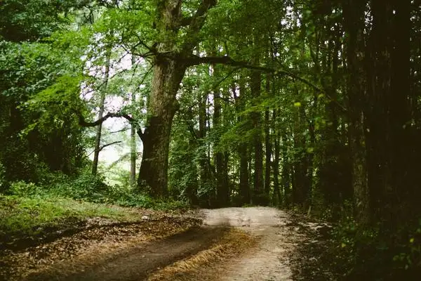 Bazaar UKM Sub Direktorat Kepangkatan, Bkd & Serdos 2024